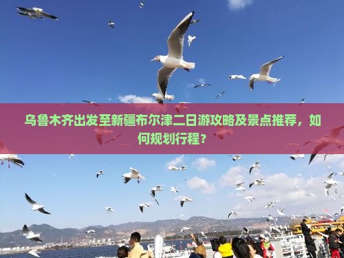 乌鲁木齐出发至新疆布尔津二日游攻略及景点推荐，如何规划行程？