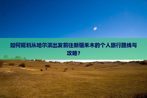 如何规划从哈尔滨出发前往新疆禾木的个人旅行路线与攻略？