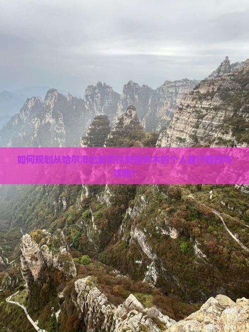 如何规划从哈尔滨出发前往新疆禾木的个人旅行路线与攻略？