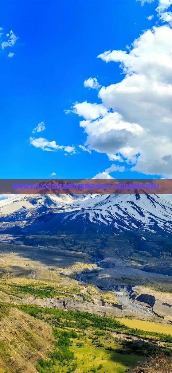 如何规划从哈尔滨出发前往新疆禾木的个人旅行路线与攻略？