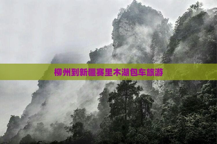 柳州到新疆赛里木湖包车旅游