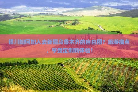 银川如何加入去新疆乌鲁木齐的自由团？旅游痛点，享受定制新体验！