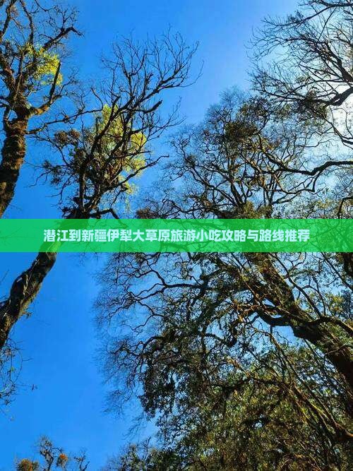 潜江到新疆伊犁大草原旅游小吃攻略与路线推荐