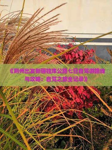 《荆州出发新疆独库公路七日自驾游路线与攻略：自驾之旅全记录》