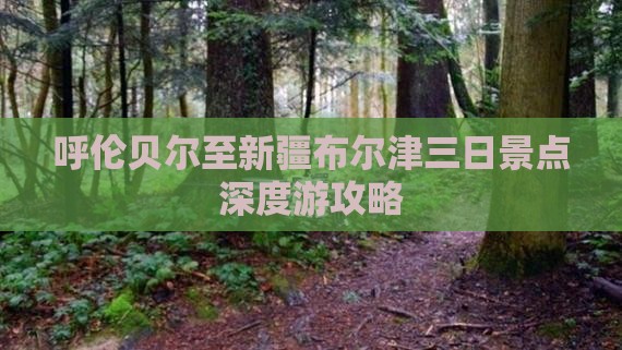 呼伦贝尔至新疆布尔津三日景点深度游攻略