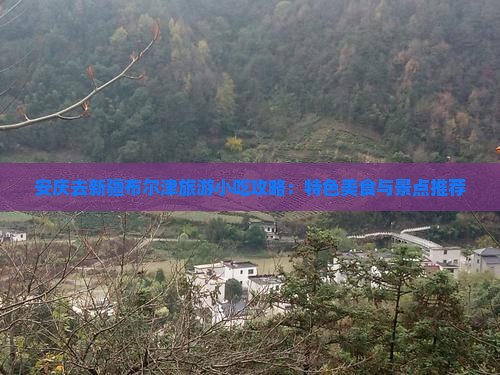 安庆去新疆布尔津旅游小吃攻略：特色美食与景点推荐