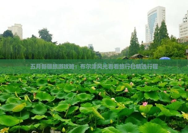 五月新疆旅游攻略：布尔津风光看看旅行社精选行程