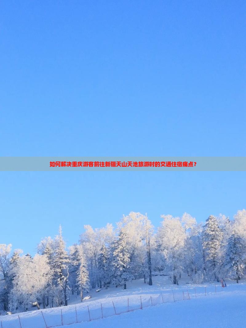 如何解决重庆游客前往新疆天山天池旅游时的交通住宿痛点？