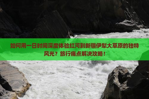 如何用一日时间深度体验红河到新疆伊犁大草原的独特风光？旅行痛点解决攻略！