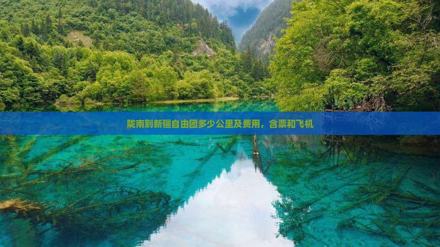 陇南到新疆自由团多少公里及费用，含票和飞机