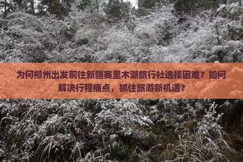 为何柳州出发前往新疆赛里木湖旅行社选择困难？如何解决行程痛点，抓住旅游新机遇？