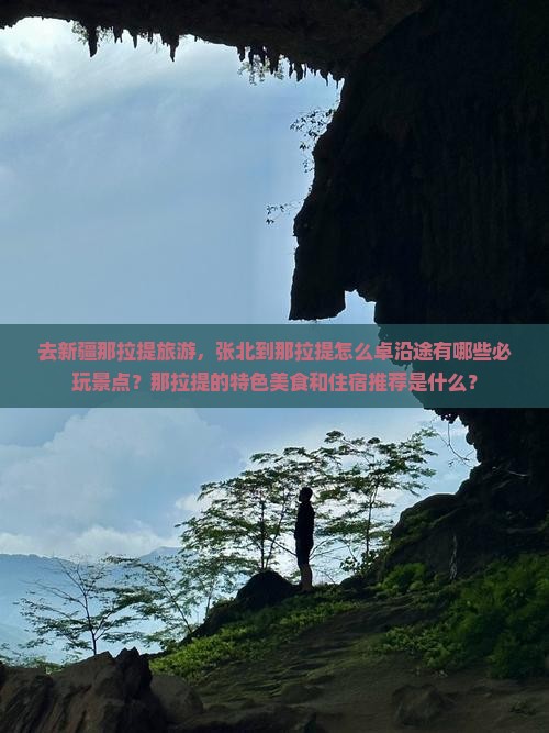 去新疆那拉提旅游，张北到那拉提怎么卓沿途有哪些必玩景点？那拉提的特色美食和住宿推荐是什么？