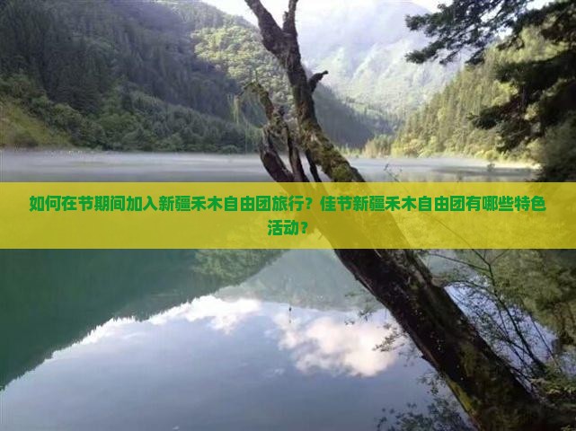 如何在节期间加入新疆禾木自由团旅行？佳节新疆禾木自由团有哪些特色活动？
