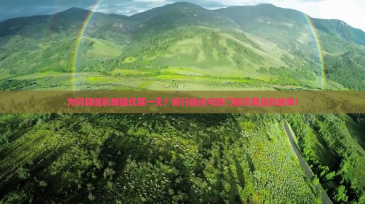 为何商洛到新疆仅需一天？畅行痛点与热门新词背后的故事！