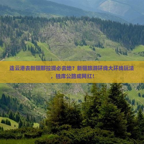 连云港去新疆那拉提必去地？新疆旅游环线大环线玩法，独库公路成网红！