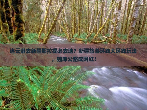 连云港去新疆那拉提必去地？新疆旅游环线大环线玩法，独库公路成网红！
