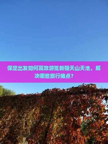 保定出发如何高效游览新疆天山天池，解决哪些旅行痛点？