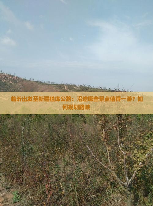 临沂出发至新疆独库公路：沿途哪些景点值得一游？如何规划路峡