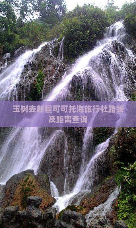 玉树去新疆可可托海旅行社路线及距离查询