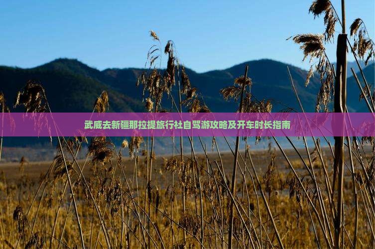 武威去新疆那拉提旅行社自驾游攻略及开车时长指南