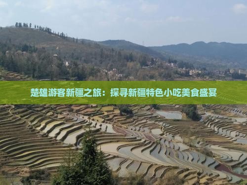楚雄游客新疆之旅：探寻新疆特色小吃美食盛宴