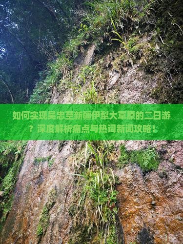 如何实现吴忠至新疆伊犁大草原的二日游？深度解析痛点与热词新词攻略！