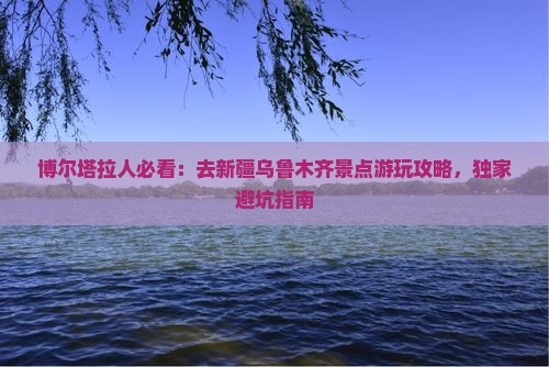 博尔塔拉人必看：去新疆乌鲁木齐景点游玩攻略，独家避坑指南
