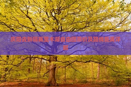庆阳去新疆赛里木湖自由团票价及路线距离详解