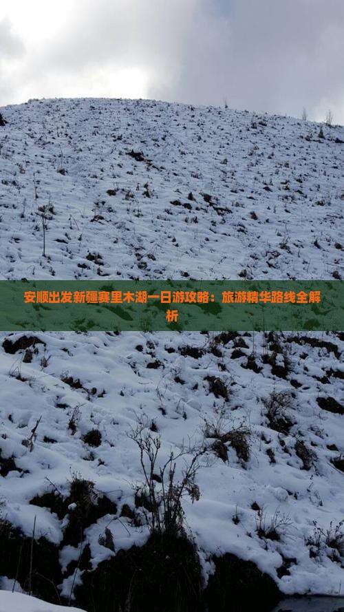 安顺出发新疆赛里木湖一日游攻略：旅游精华路线全解析