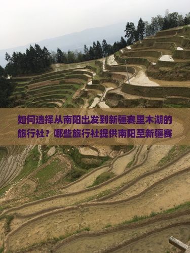 如何选择从南阳出发到新疆赛里木湖的旅行社？哪些旅行社提供南阳至新疆赛里木湖的旅游服务？