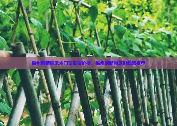 福州到新疆禾木门票及票价格，福州到新疆旅游线路推荐