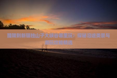 醴陵到新疆独山子大峡谷哪里玩：探秘沿途美景与游玩攻略精选