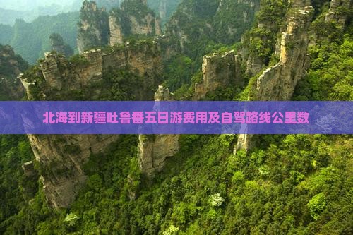 北海到新疆吐鲁番五日游费用及自驾路线公里数