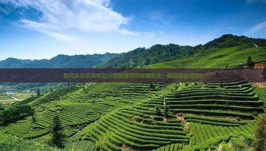 如何从北京高效出行至新疆可可托海景点，解决交通难题？