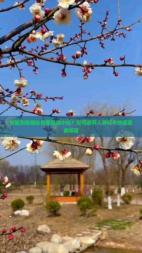 哈密到新疆吐鲁番旅游小吃？如何避开人潮打卡地道美食探店