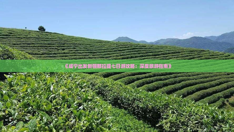 《咸宁出发新疆那拉提七日游攻略：深度旅游指南》