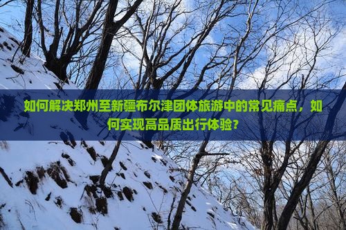 如何解决郑州至新疆布尔津团体旅游中的常见痛点，如何实现高品质出行体验？
