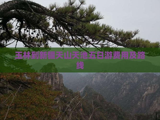 玉林到新疆天山天池五日游费用及路线