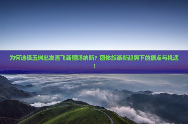 为何选择玉树出发直飞新疆喀纳斯？团体旅游新趋势下的痛点与机遇！