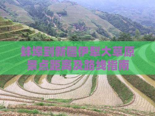 蚌埠到新疆伊犁大草原景点距离及路线指南