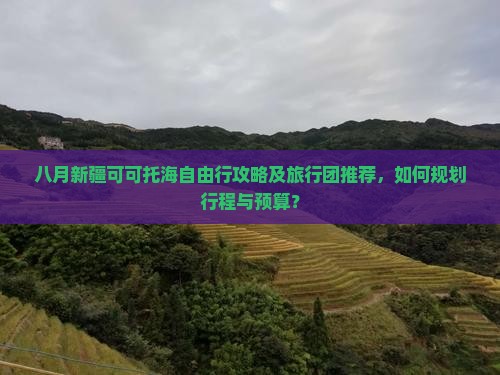 八月新疆可可托海自由行攻略及旅行团推荐，如何规划行程与预算？