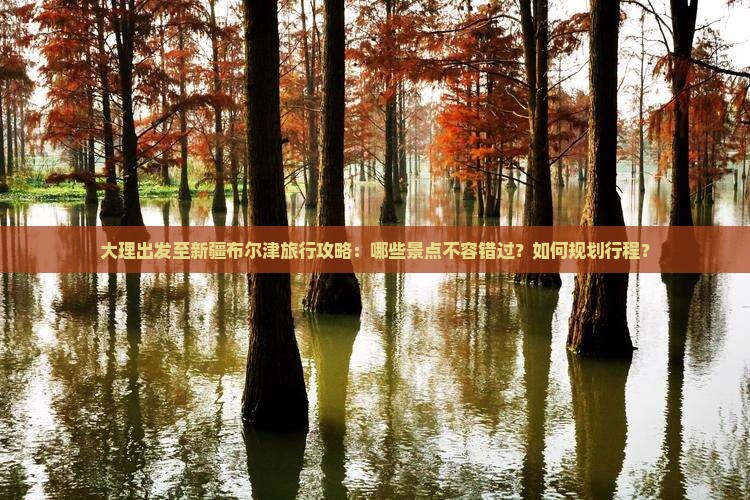 大理出发至新疆布尔津旅行攻略：哪些景点不容错过？如何规划行程？