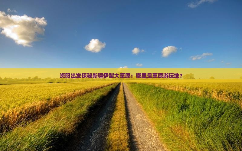 资阳出发探秘新疆伊犁大草原：哪里是草原游玩地？