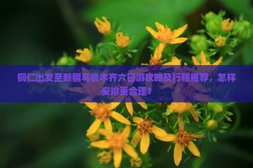 铜仁出发至新疆乌鲁木齐六日游攻略及行程推荐，怎样安排更合理？
