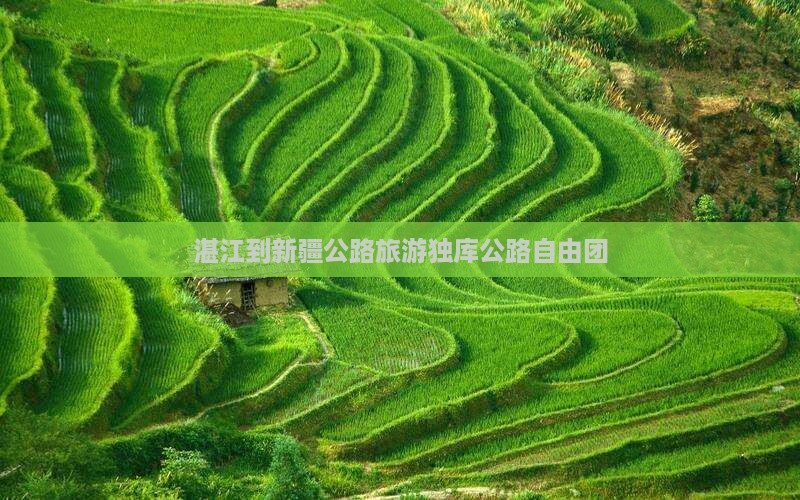 湛江到新疆独库公路自由团