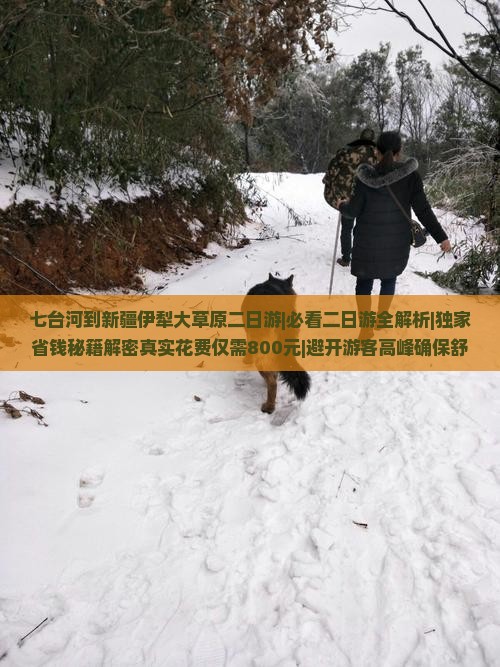 七台河到新疆伊犁大草原二日游