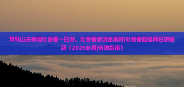 双鸭山去新疆吐鲁番一日