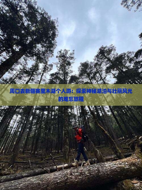 周口去新疆赛里木湖个人游
