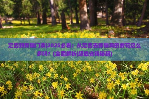 定西到新疆门票