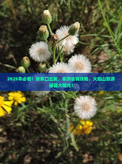 张家口到新疆火焰山旅游